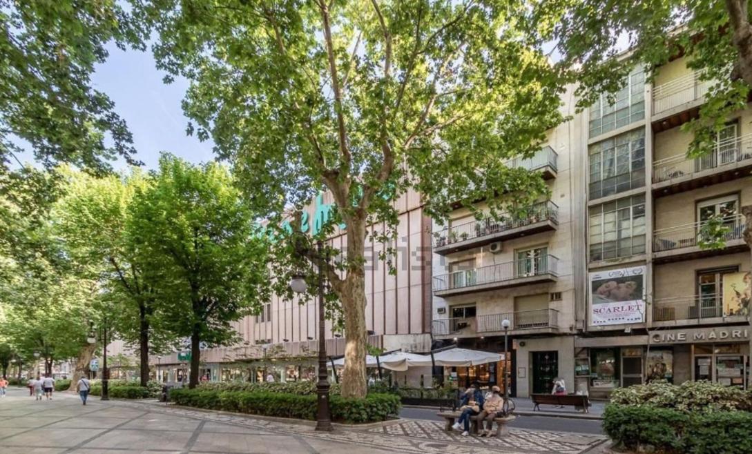 Apartamento Con Terraza A 4 Minutos De La Catedral Granada Eksteriør billede